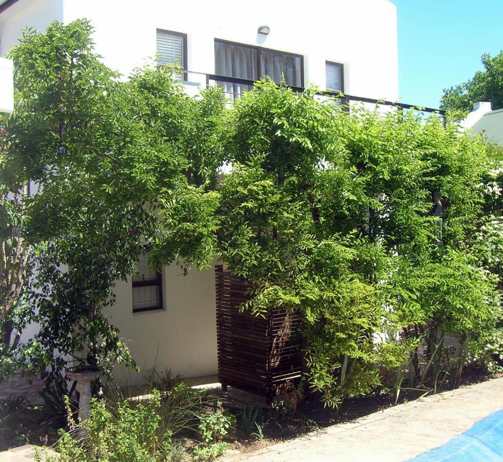 16 Rhodes-North Self Catering Apartment & Studio Stellenbosch Exterior foto